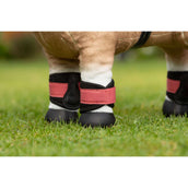 LeMieux Toy Pony Protezioni per le Gambe Cranberry