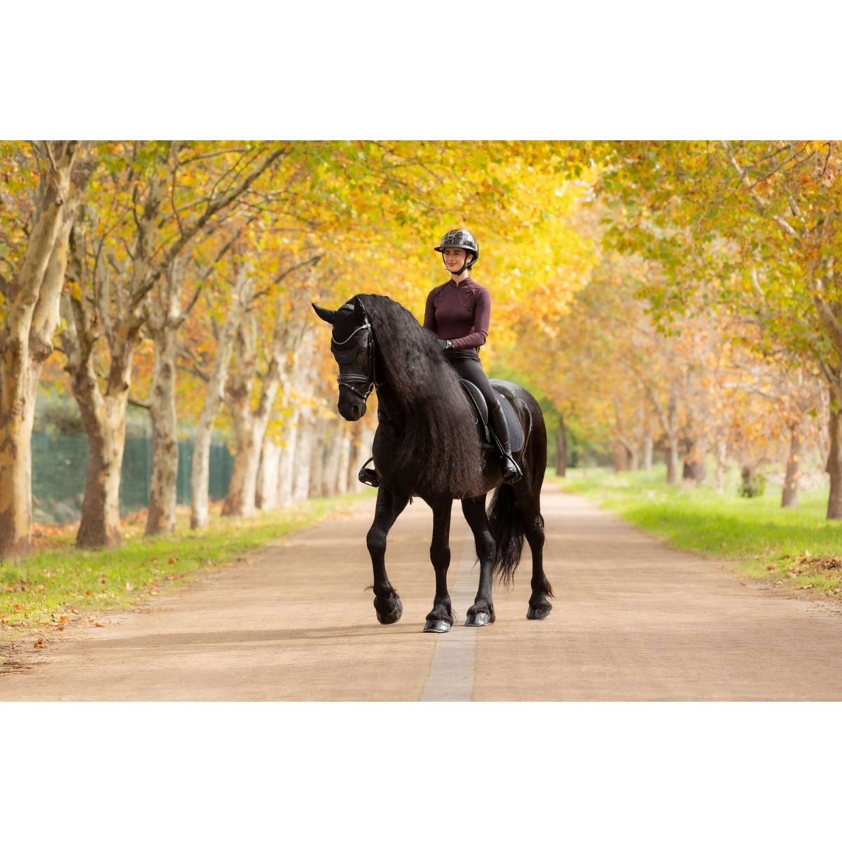 LeMieux Sottosella Essence Dressage Nero