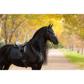 LeMieux Sottosella Essence Dressage Nero