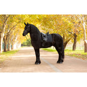 LeMieux Sottosella Essence Dressage Nero