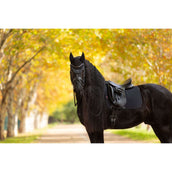 LeMieux Sottosella Essence Dressage Nero