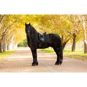 LeMieux Sottosella Essence Dressage Nero