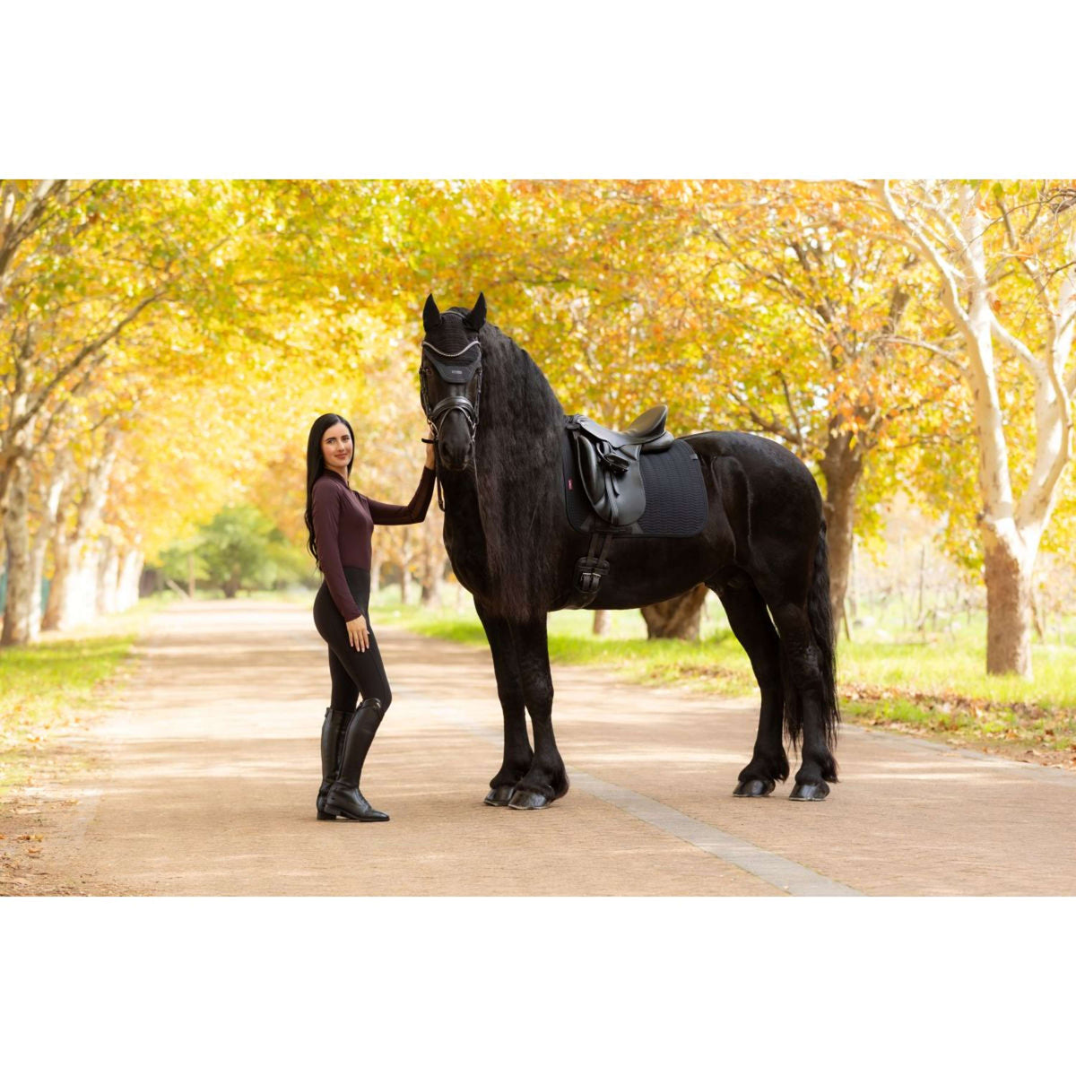 LeMieux Sottosella Essence Dressage Nero