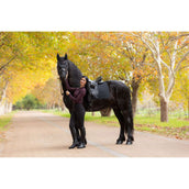 LeMieux Sottosella Essence Dressage Nero