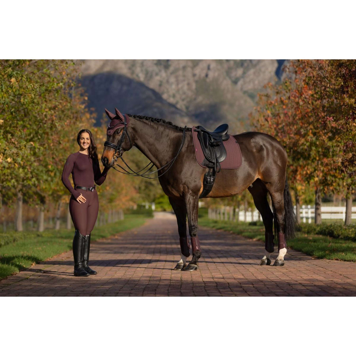 LeMieux Sottosella Essence Dressage Damson