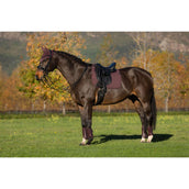 LeMieux Sottosella Essence Dressage Damson