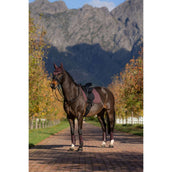 LeMieux Sottosella Essence Dressage Damson