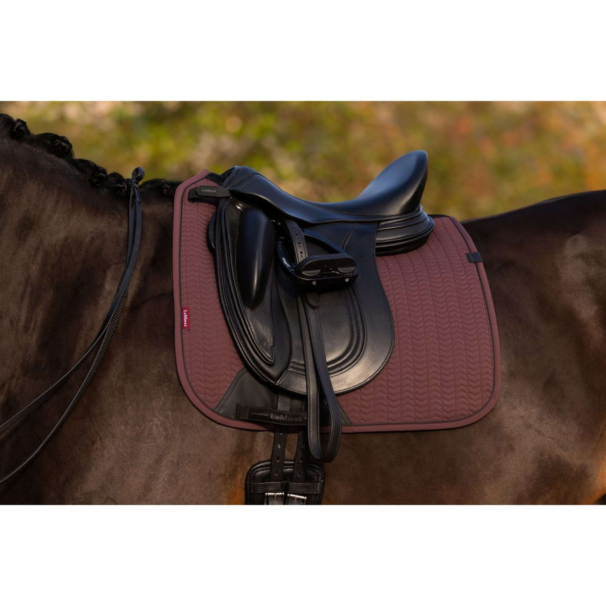 LeMieux Sottosella Essence Dressage Damson