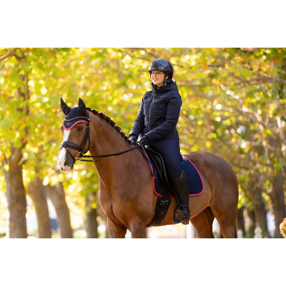 LeMieux Sottosella Suede Dressage Navy/Cranberry
