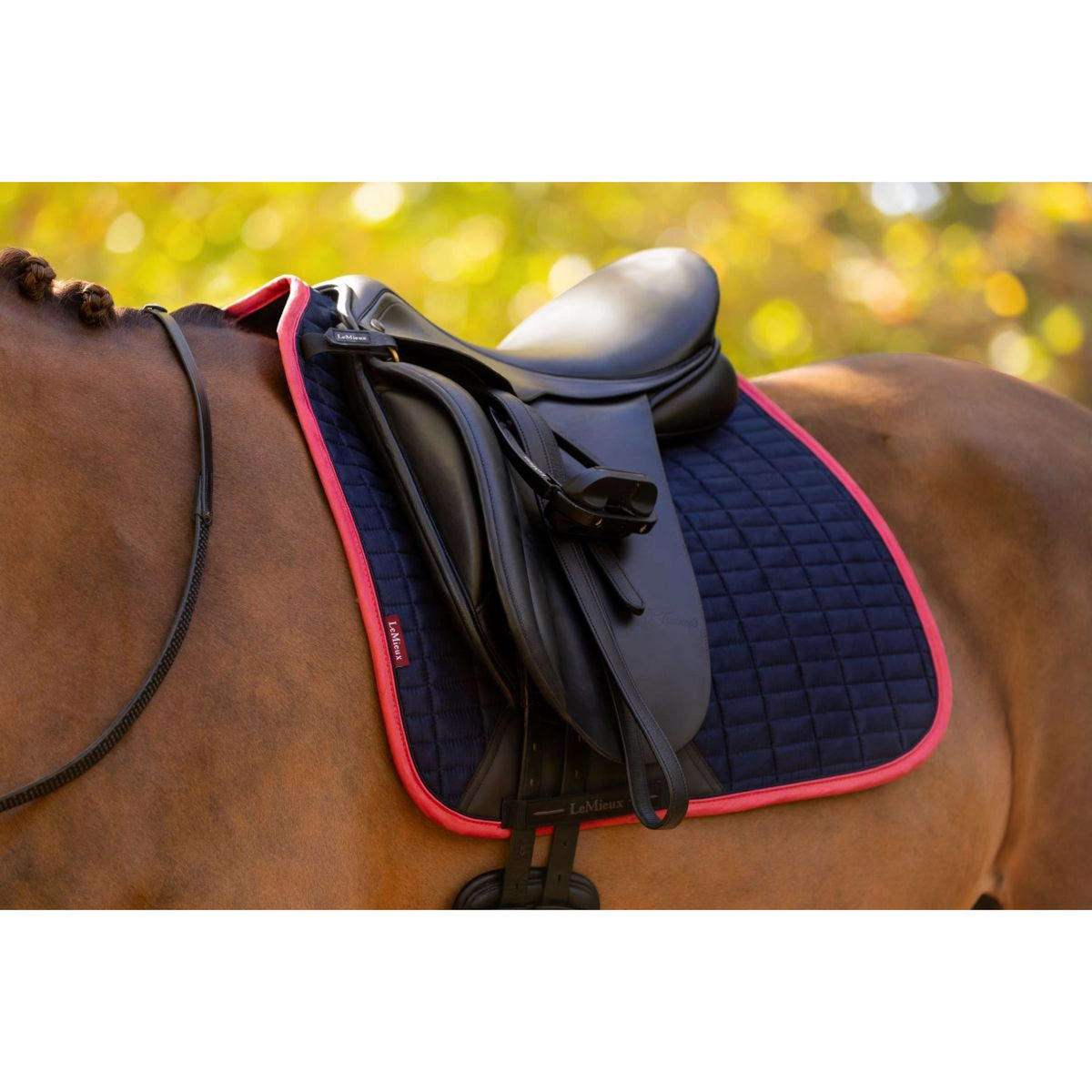 LeMieux Sottosella Suede Dressage Navy/Cranberry