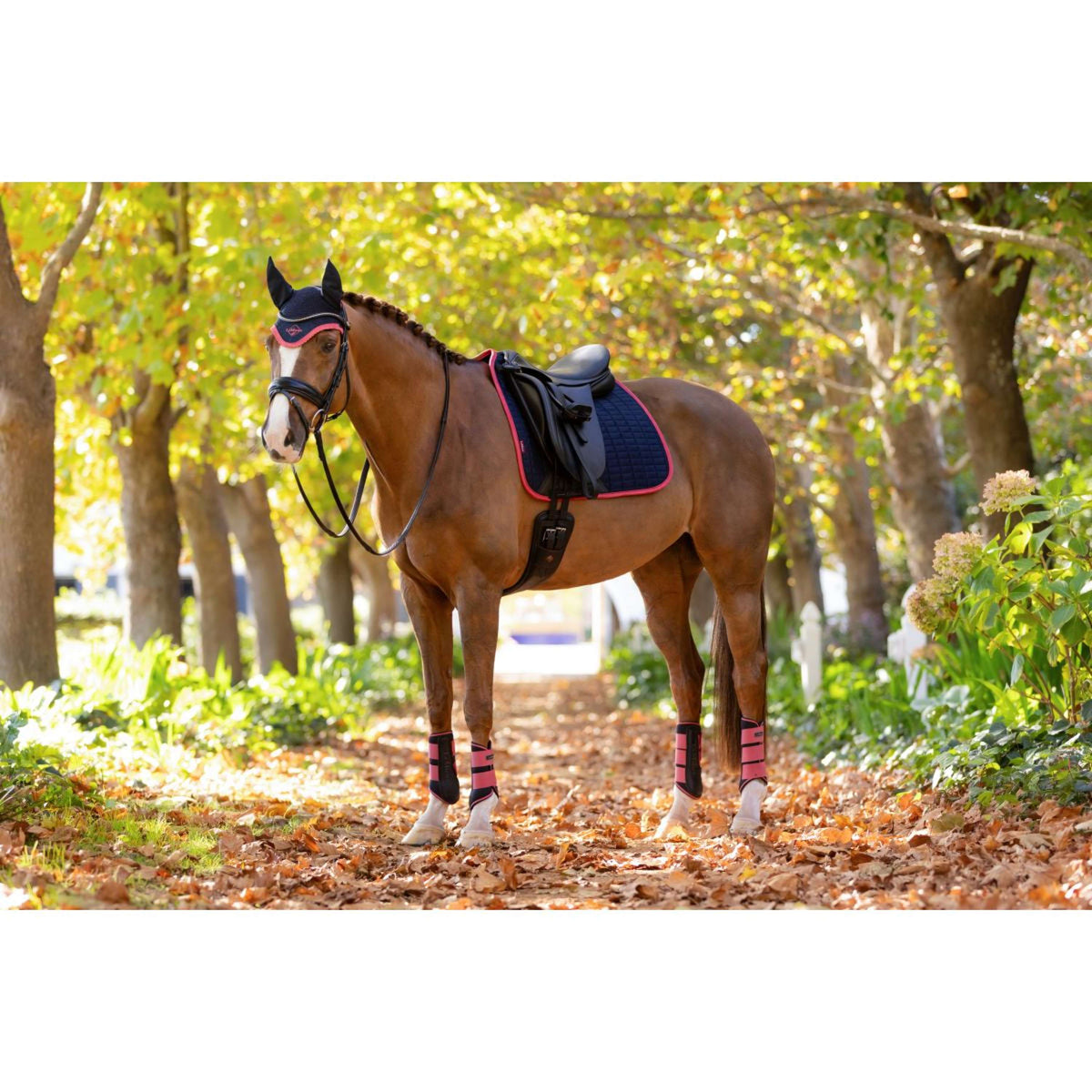 LeMieux Sottosella Suede Dressage Navy/Cranberry