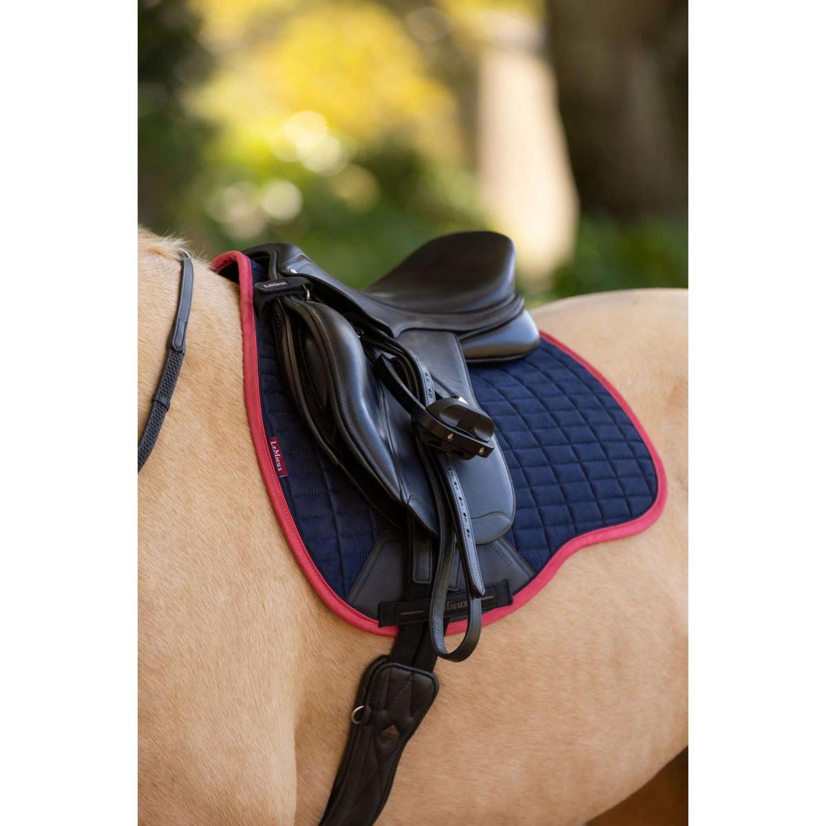 LeMieux Sottosella Suede Uso generale Navy/Cranberry