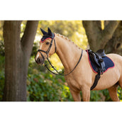 LeMieux Sottosella Suede Uso generale Navy/Cranberry