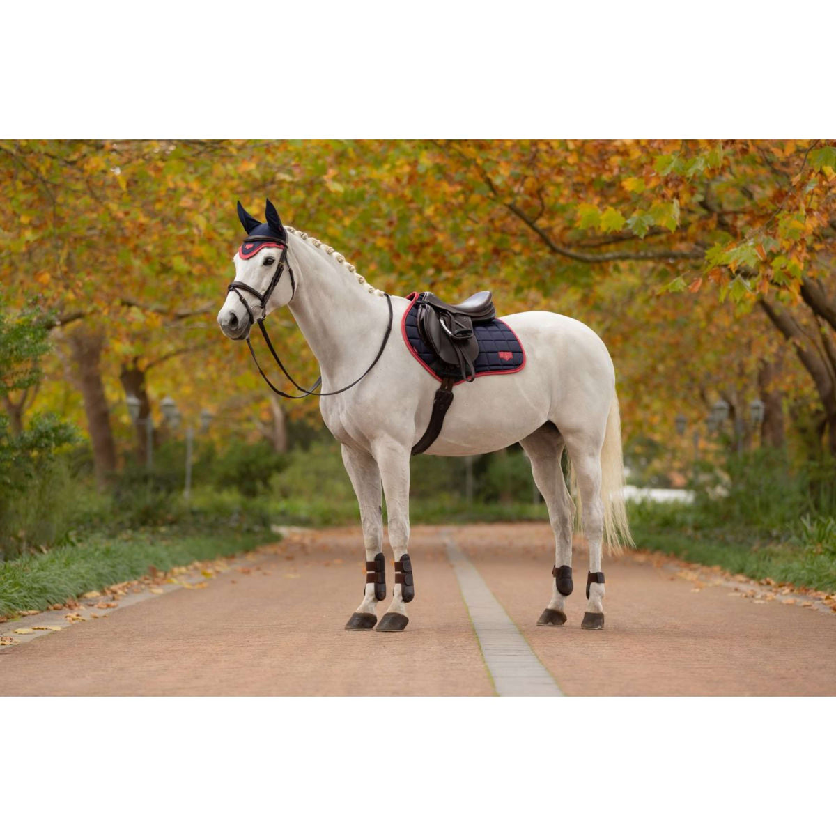 LeMieux Sottosella Loire Classic saltando Navy/Cranberry