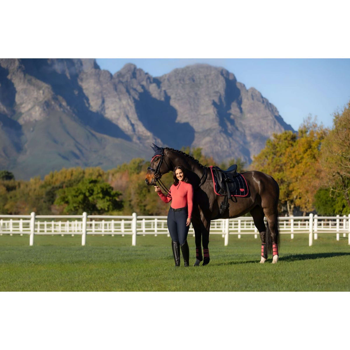 LeMieux Sottosella Loire Classic Dressage Navy/Cranberry