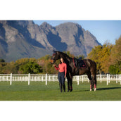 LeMieux Sottosella Loire Classic Dressage Navy/Cranberry