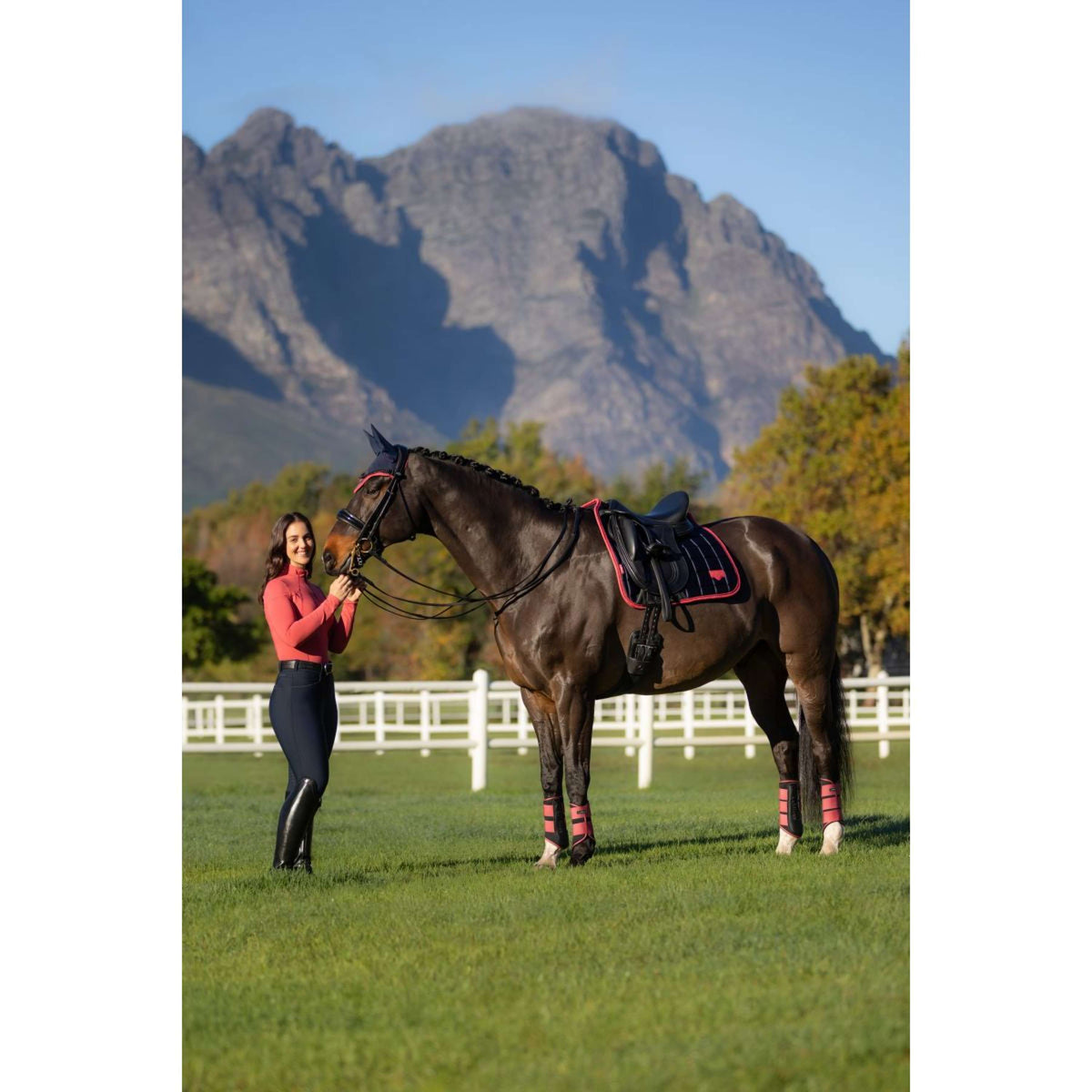 LeMieux Sottosella Loire Classic Dressage Navy/Cranberry