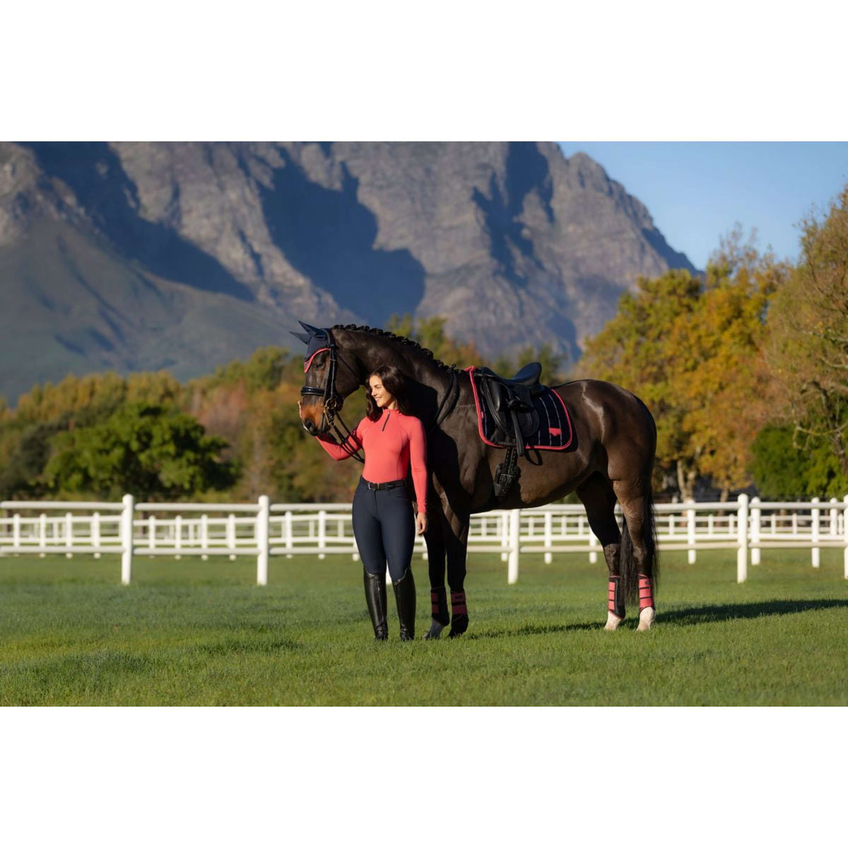 LeMieux Sottosella Loire Classic Dressage Navy/Cranberry