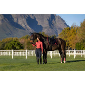 LeMieux Sottosella Loire Classic Dressage Navy/Cranberry