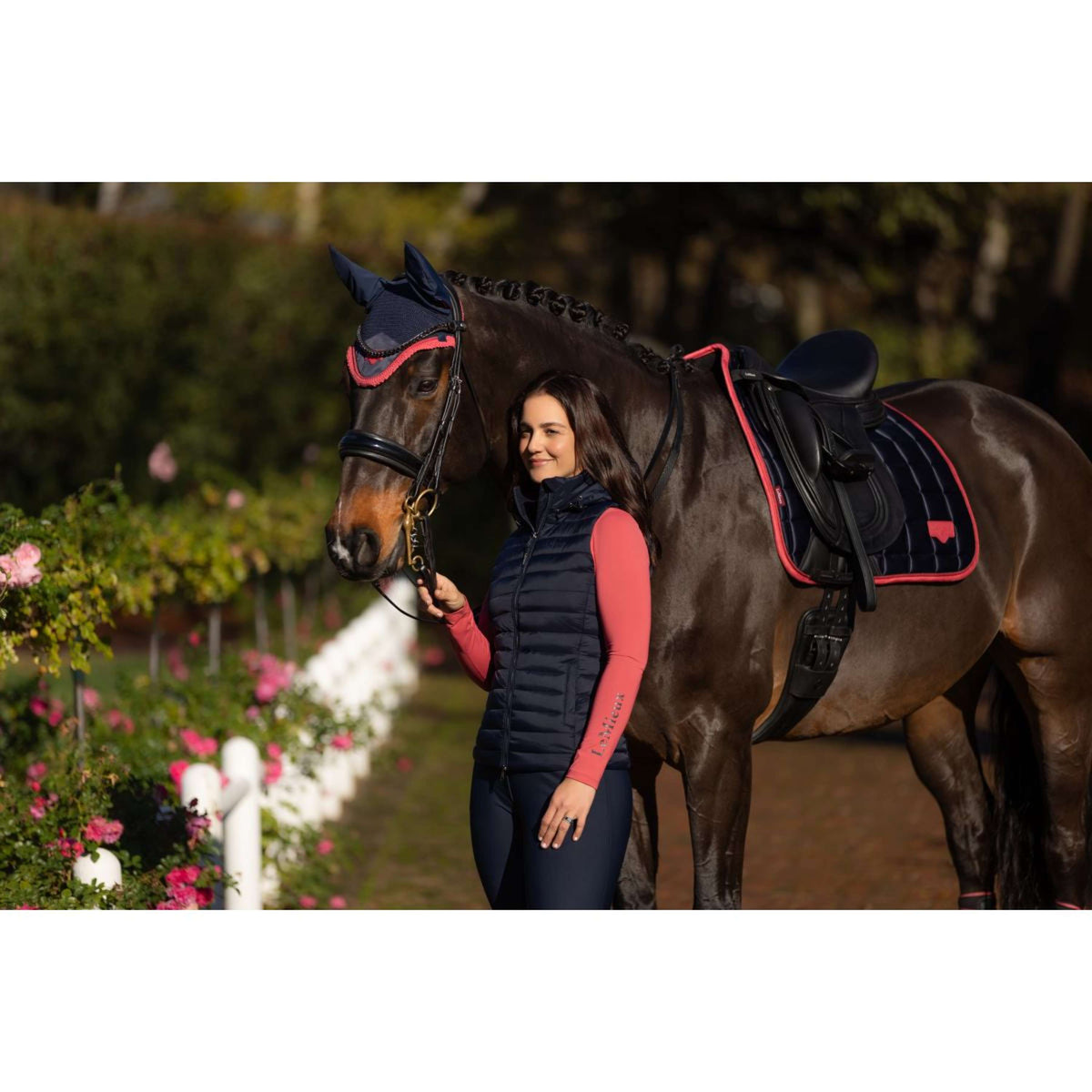 LeMieux Sottosella Loire Classic Dressage Navy/Cranberry