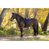 LeMieux Sottosella Loire Classic Uso generale Navy/Cranberry