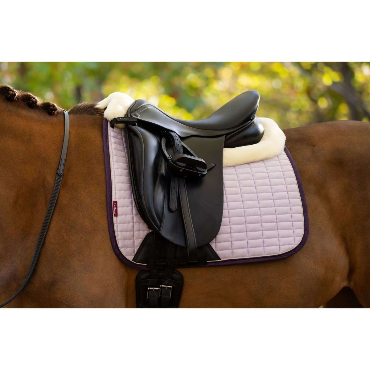 LeMieux Sottosella Merino Suede Dressage Lilla