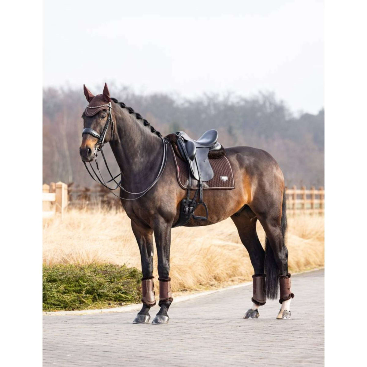 LeMieux Sottosella Dressage Puissance Marrone