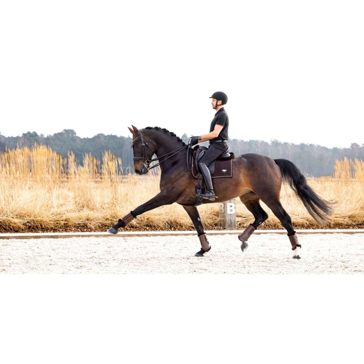 LeMieux Sottosella Dressage Puissance Marrone