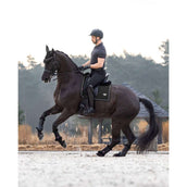 LeMieux Sottosella Dressage Puissance Nero