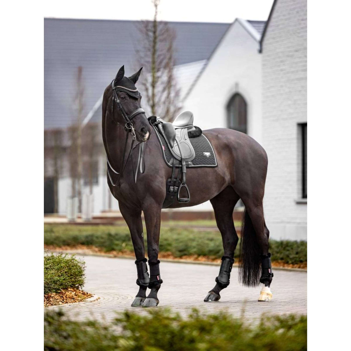 LeMieux Sottosella Dressage Puissance Nero