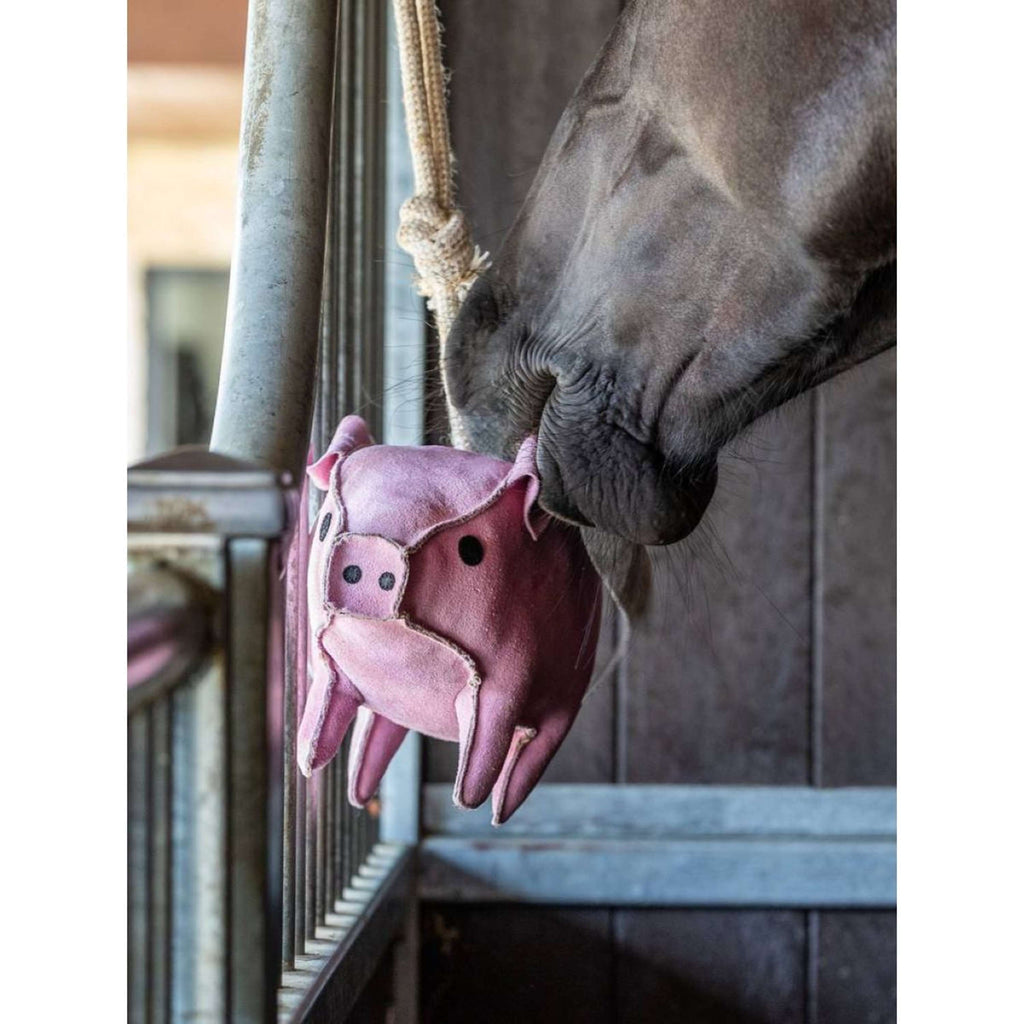 LeMieux Giocattoli Flying Pig Rosa