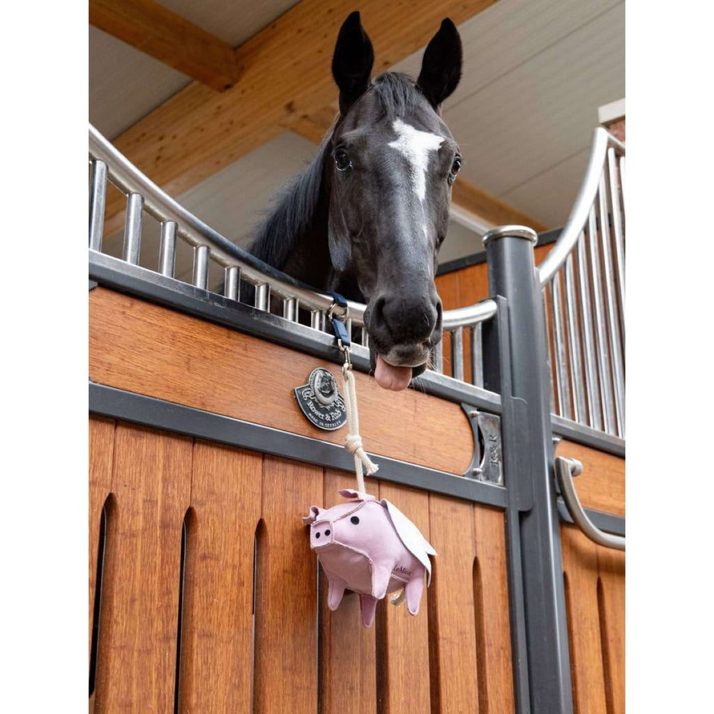 LeMieux Giocattoli Flying Pig Rosa