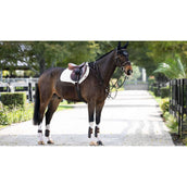 LeMieux Sottosella Prosorb Pain 2 Pocket Bianco
