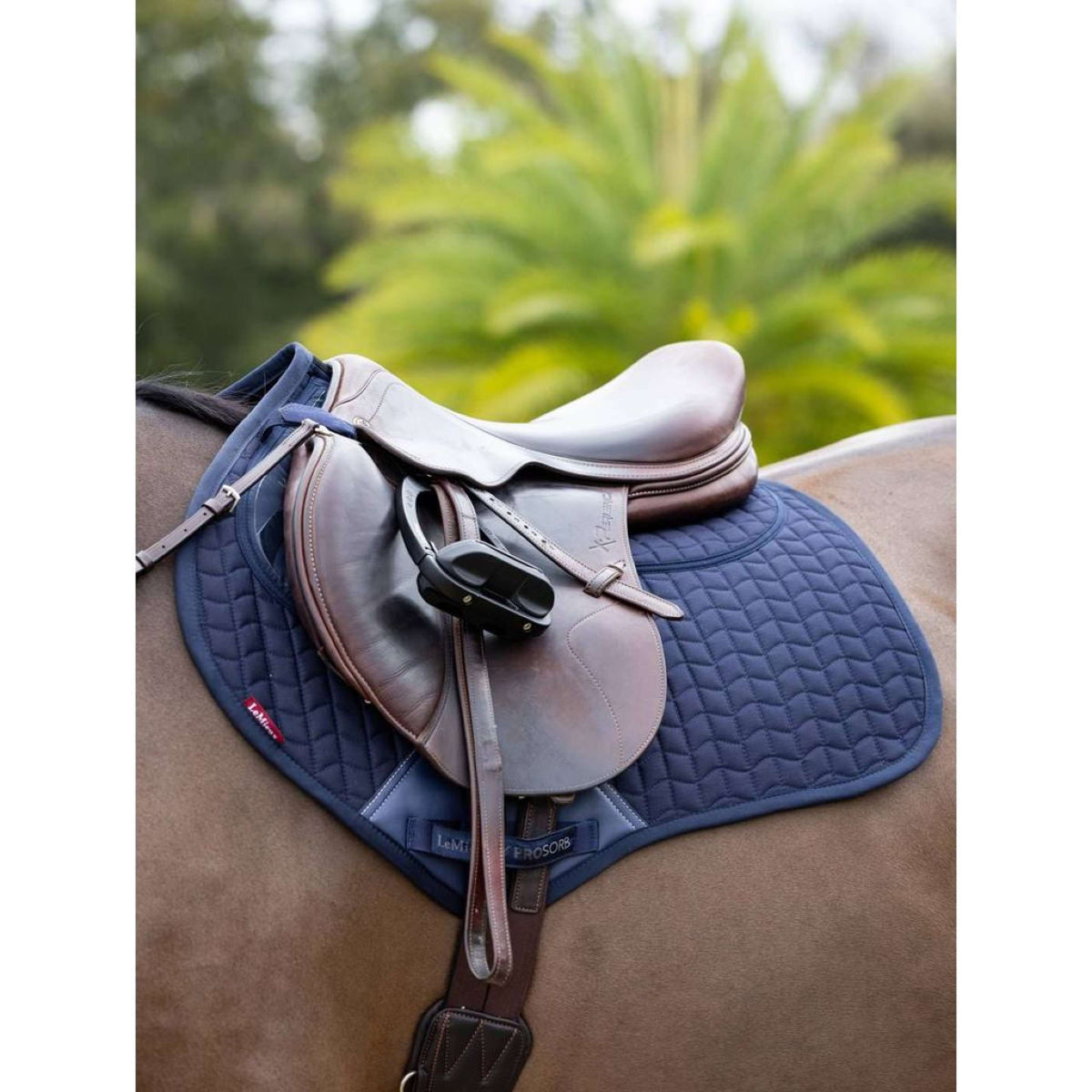 LeMieux Sottosella Prosorb Pain 2 Pocket C.C Navy