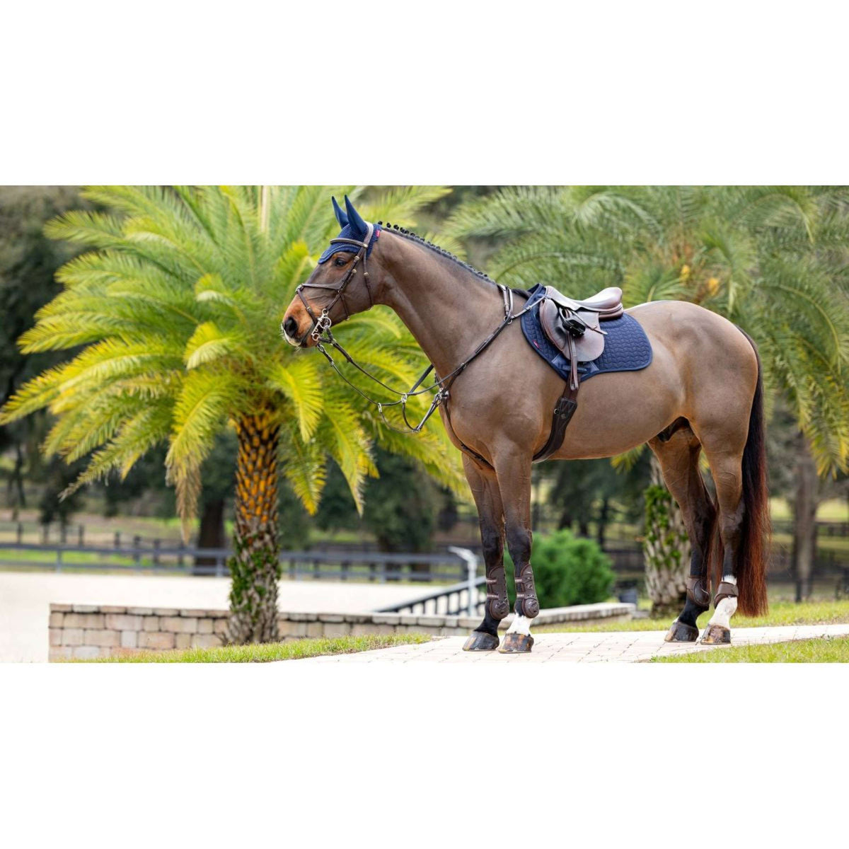 LeMieux Sottosella Prosorb Pain 2 Pocket C.C Navy