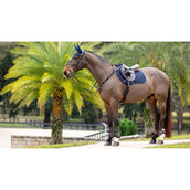 LeMieux Sottosella Prosorb Pain 2 Pocket C.C Navy