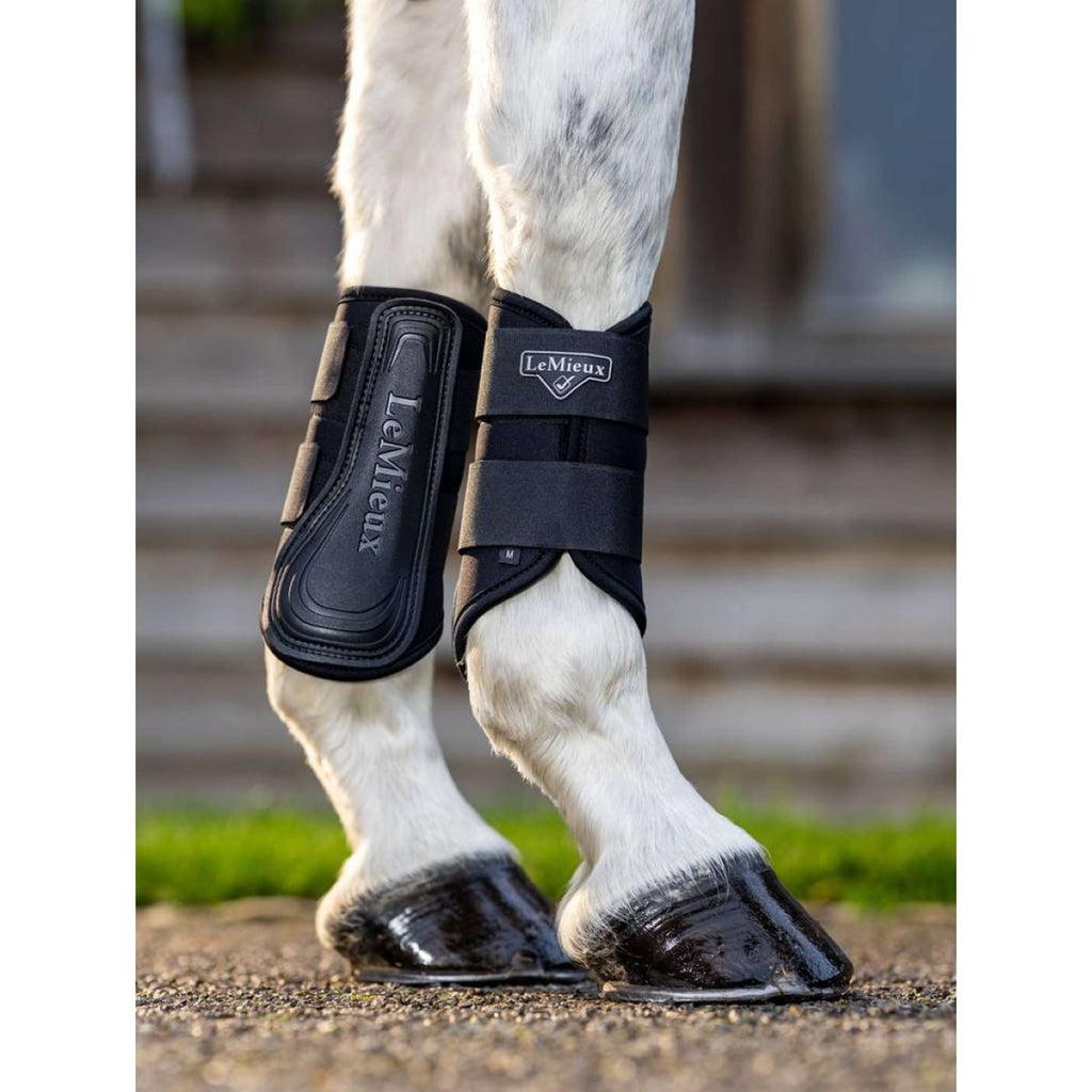 LeMieux Parastinchi Grafter Brushing Nero
