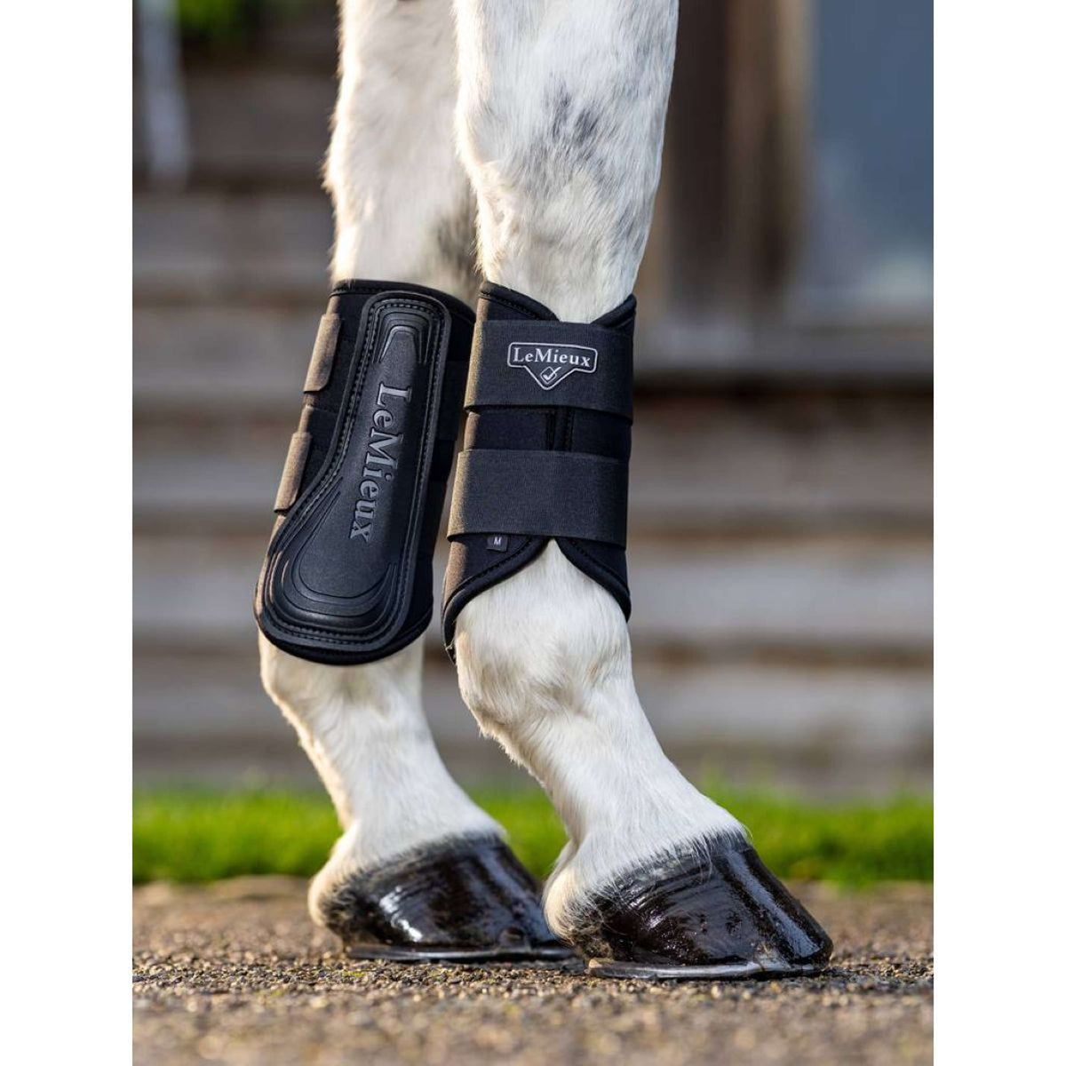 LeMieux Parastinchi Grafter Brushing Nero