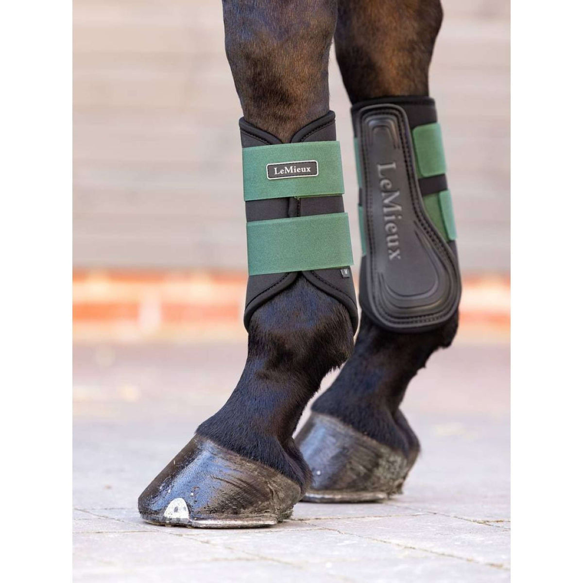 LeMieux Parastinchi Grafter Brushing Cacciatore Verde