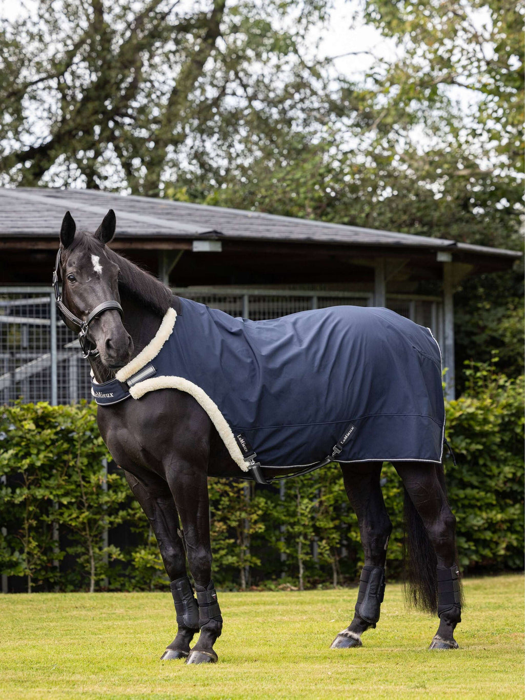 LeMieux Pony giocattolo Vliegendeken Navy