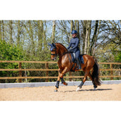 LeMieux Sottosella Puissance Suede Dressage Navy