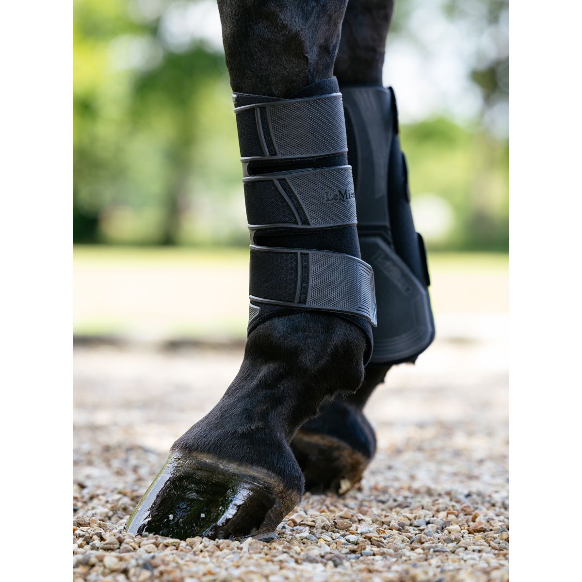 LeMieux Parastinchi Technical Nero