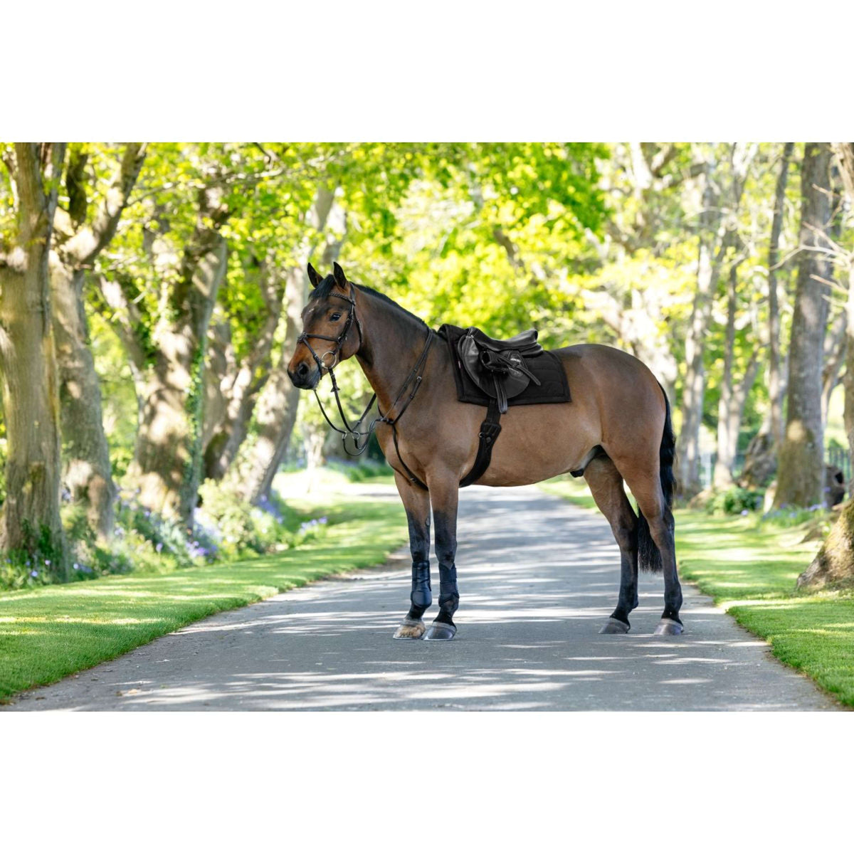 LeMieux Sottosella Pillow Pad Nero