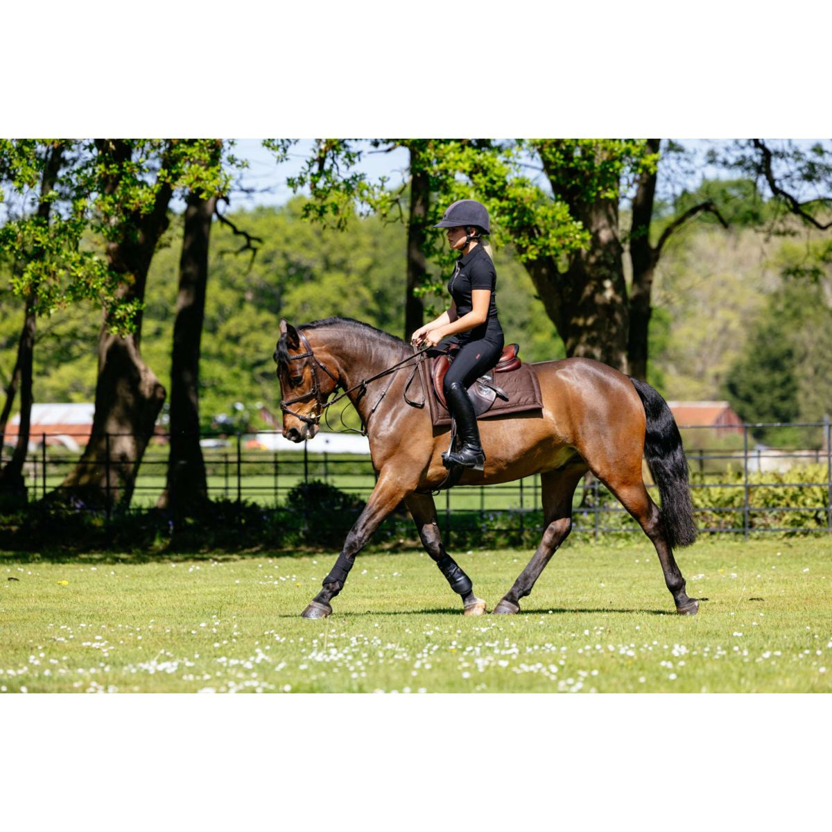 LeMieux Sottosella Pillow Pad Marrone