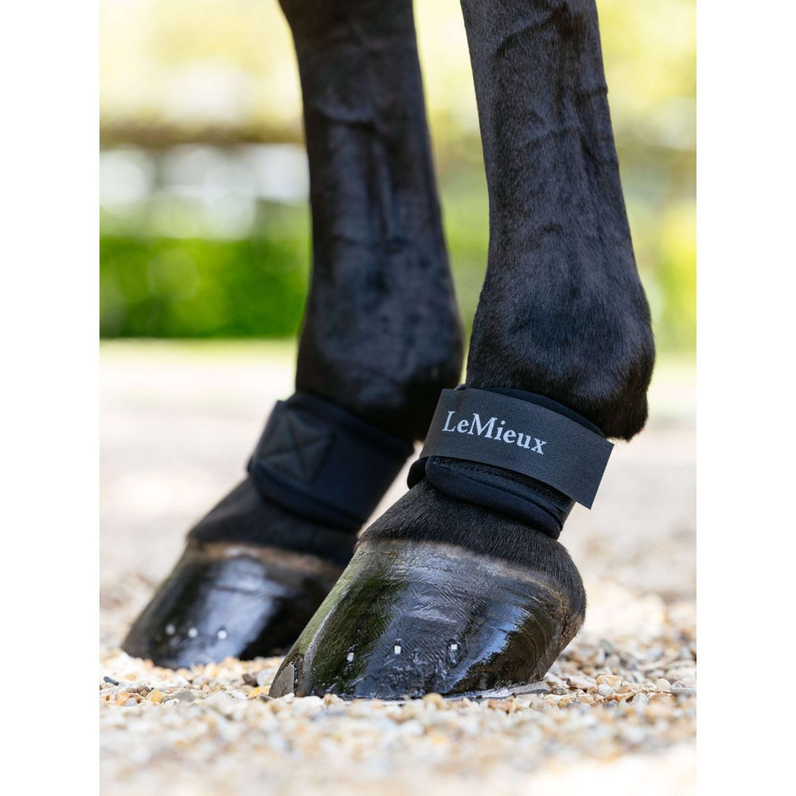 LeMieux Protettori del pastorale Neoprene Nero LeMieux Protettori del pastorale Neoprene Nero