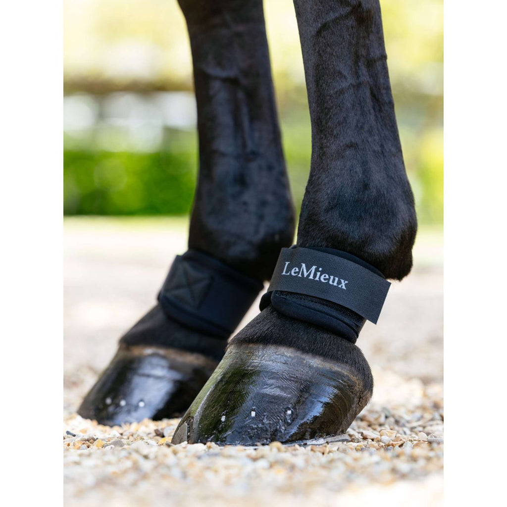 LeMieux Protettori del pastorale Neoprene Nero