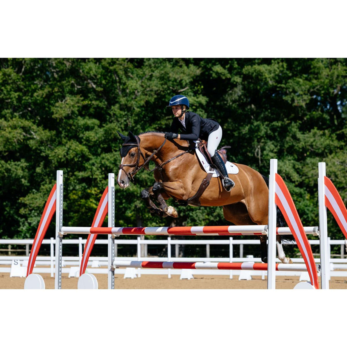 LeMieux Sottosella Loire Classic Square Close Contact Bianco