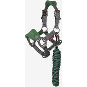 LeMieux Set Cavezza Mini Vogue Hunter Green