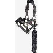 LeMieux Set Cavezza Mini Vogue Nero