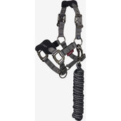 LeMieux Set Cavezza Mini Vogue Nero